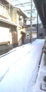 京都雪景色20250207(3)